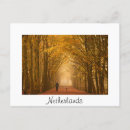 Buscar ruta 1 postales Bosque