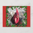 Buscar rooster postales Pájaros