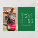 Buscar navidad labrador postales Fotografía