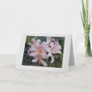 Buscar resurrección tarjetas Lirio