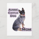 Buscar australiano postales Perro de ganado australiano