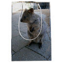 Buscar peludo fotografía Fauna