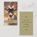 Buscar goat tarjetas de visita Cabra