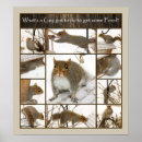 Buscar alimentador posters Nieve