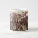 Buscar svalbard tazas Ganado