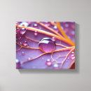 Buscar gotas de lluvia lienzos Naturaleza