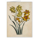 Buscar froral Flores