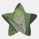 Buscar caterpillar etiquetas Animal