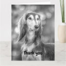 Buscar saluki tarjetas Saludo