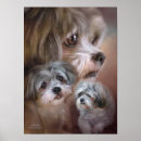Buscar lhasa apso arte Para todos