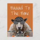 Buscar hueso postales Flores