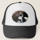 Buscar con penguinos gorras Pingüino