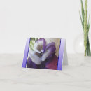 Buscar tacto tarjetas Especial