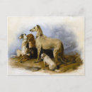 Buscar razas postales Perros