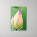 Buscar bombilla lienzos Flor