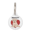Buscar texto collares Perros