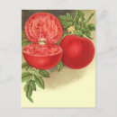 Buscar dorsos postales Tarjeta