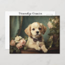 Buscar mejor vendedor postales General y unisex