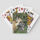 Buscar headshot barajas de cartas Jadeo