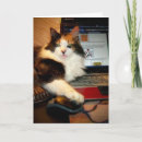 Buscar funny cat tarjetas Tarjeta de gato divertida