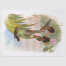 Buscar paisaje tropical papel de seda Naturaleza