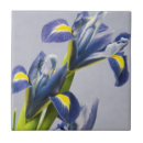 Buscar flores grandes azulejos Fondo