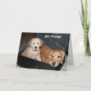 Buscar maleta tarjetas Perros