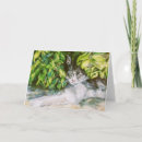 Buscar nomenclatura tarjetas Adorable