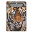 Buscar gato rayado libretas Animal
