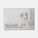 Buscar collie perritos Perro