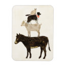 Buscar burro imanes Animales
