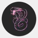 Buscar cobra real pegatinas Reptil