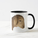 Buscar del perfil tazas Animales