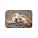 Buscar perrito del beagle Horizontal