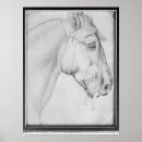 Buscar estudio de un caballo posters Bosquejo
