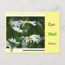 Buscar get well soon fotografía Para todos