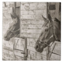 Buscar cabeza de caballo azulejos Equino