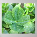 Buscar cuatro colores posters Verde