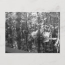 Buscar ilusión postales Negro y blanco