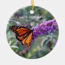 Buscar mariposa monarca adornos Naranja