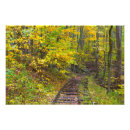 Buscar ferrocarril fotografía Otoño