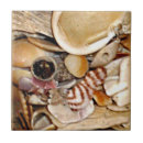 Buscar cáscaras del mar azulejos Seashells