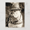 Buscar patrulla postales Lindo