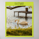 Buscar vida real posters Naturaleza