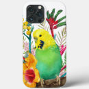 Buscar budgie iphone fundas Para todos
