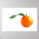 Buscar mandarina posters Clementina