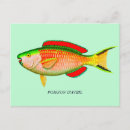 Buscar inocente postales Para todos