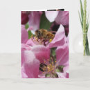 Buscar ocupación tarjetas Flores