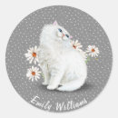 Buscar gatito persa postales Gris
