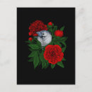 Buscar pájaros rojos postales Flor